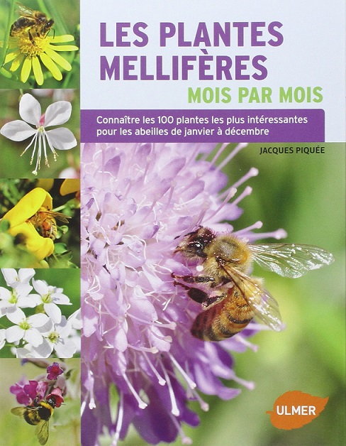 livre les plantes miellifères mois par mois adultes