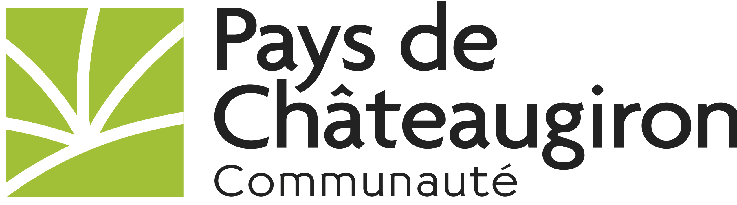 LOGOTYPE PAYS DE CHATEAUGIRON COMMUNAUTE COULEUR